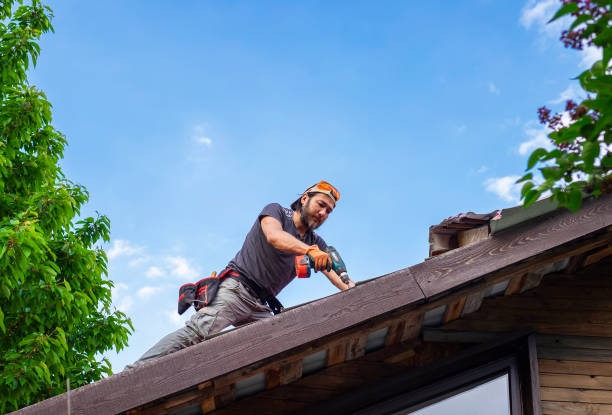Best Steel Roofing  in Ore City, TX